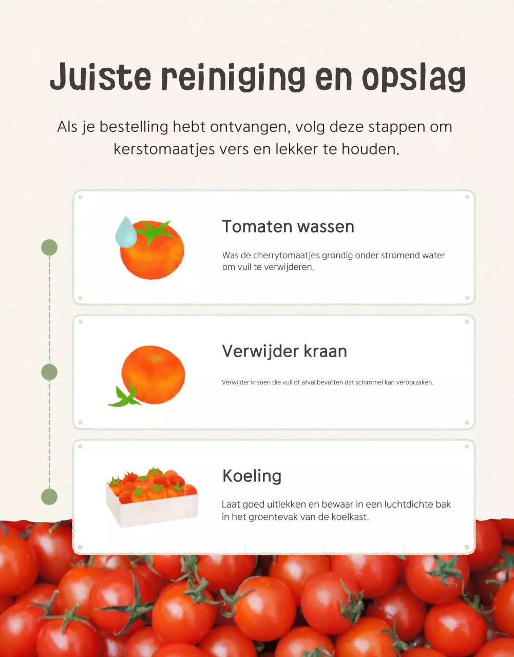 De verkoop van Ivory en Lotus prachtige kerstomaten promoten