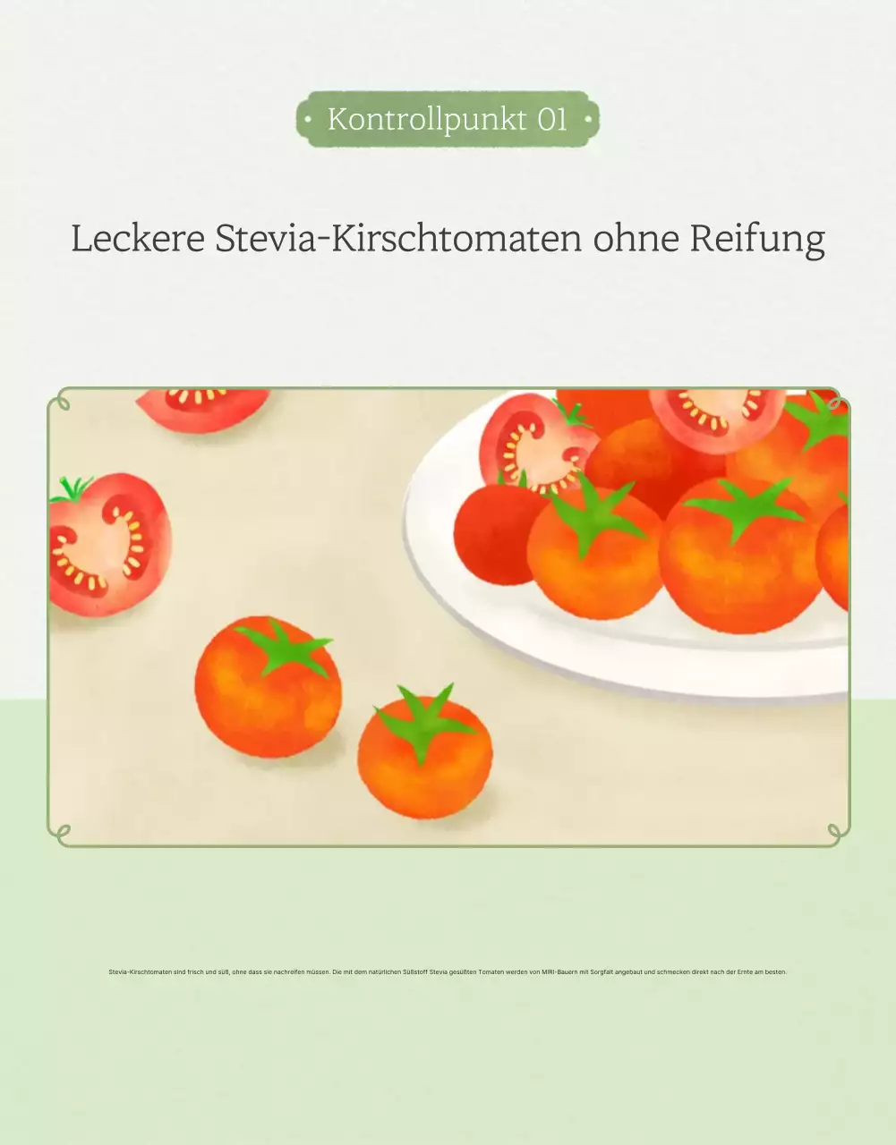 Förderung des Verkaufs von einfachen Kirschtomaten in Elfenbein und Lotus