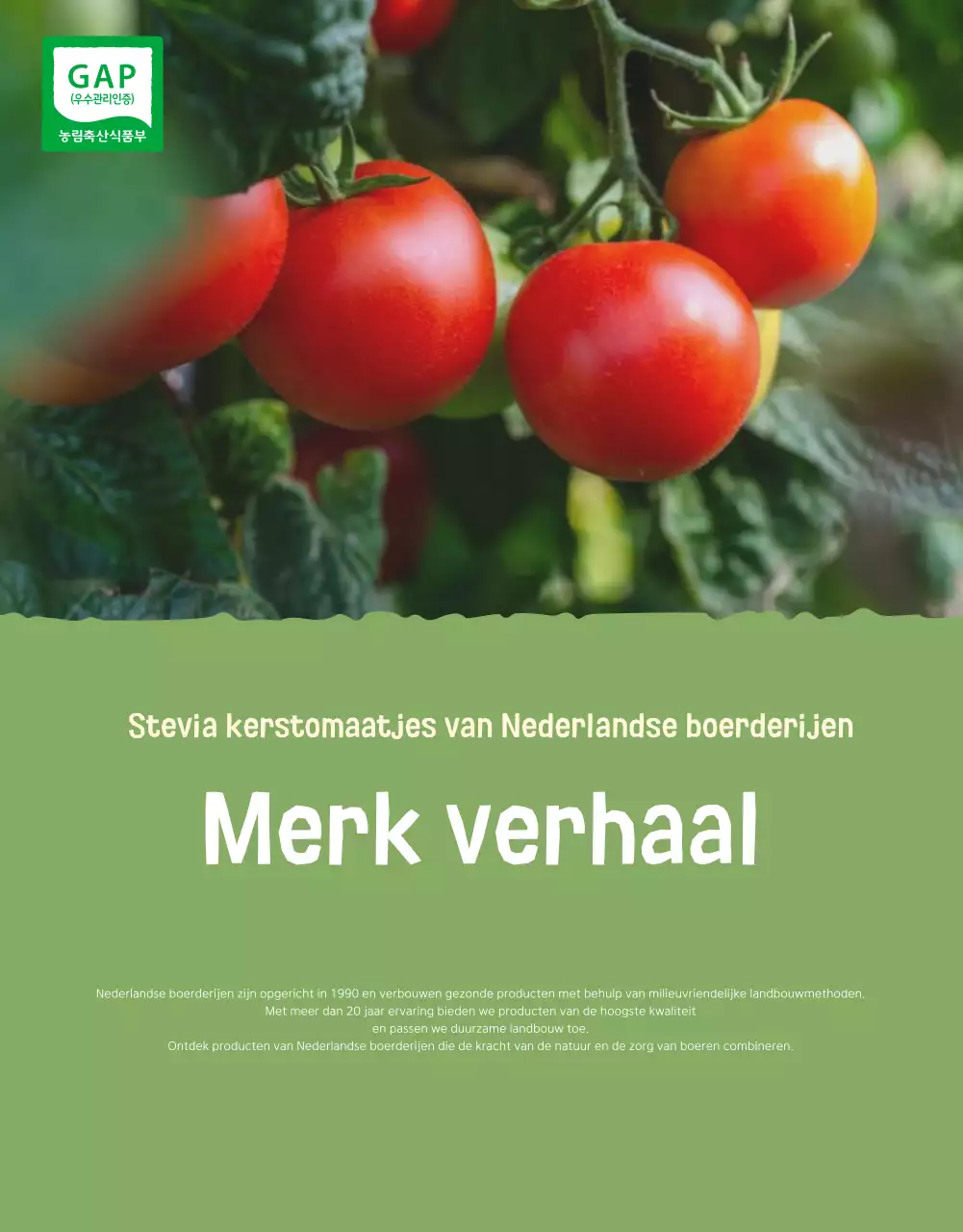 De verkoop van Ivory en Lotus prachtige kerstomaten promoten