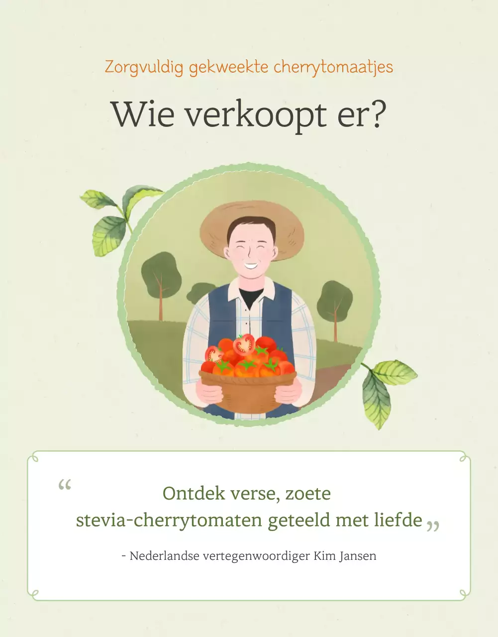 De verkoop van enkelvoudige kerstomaatjes in Ivoor en Lotus bevorderen