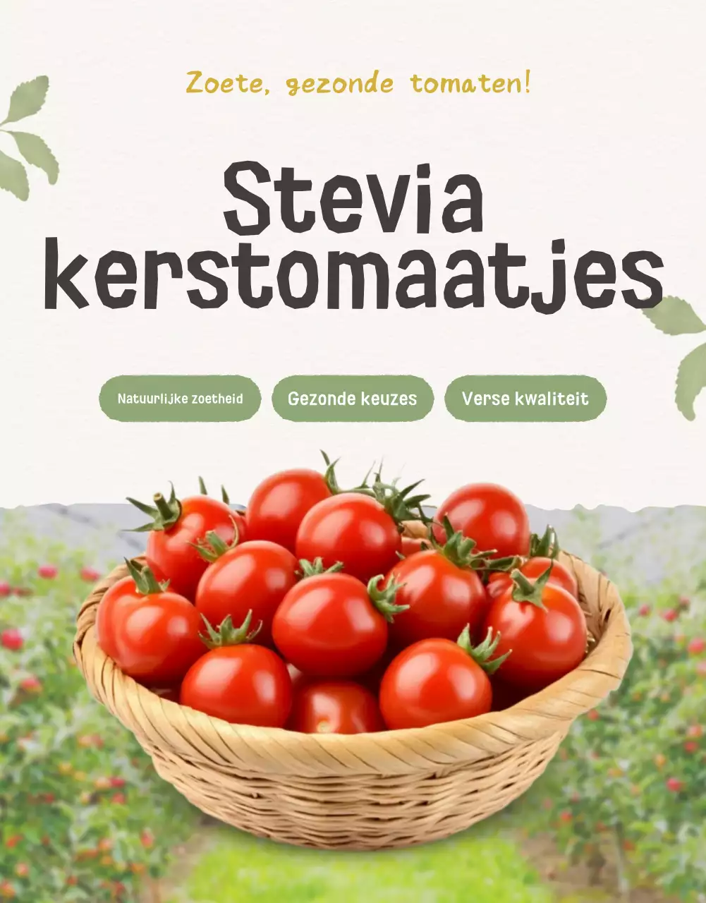 De verkoop van Ivory en Lotus prachtige kerstomaten promoten