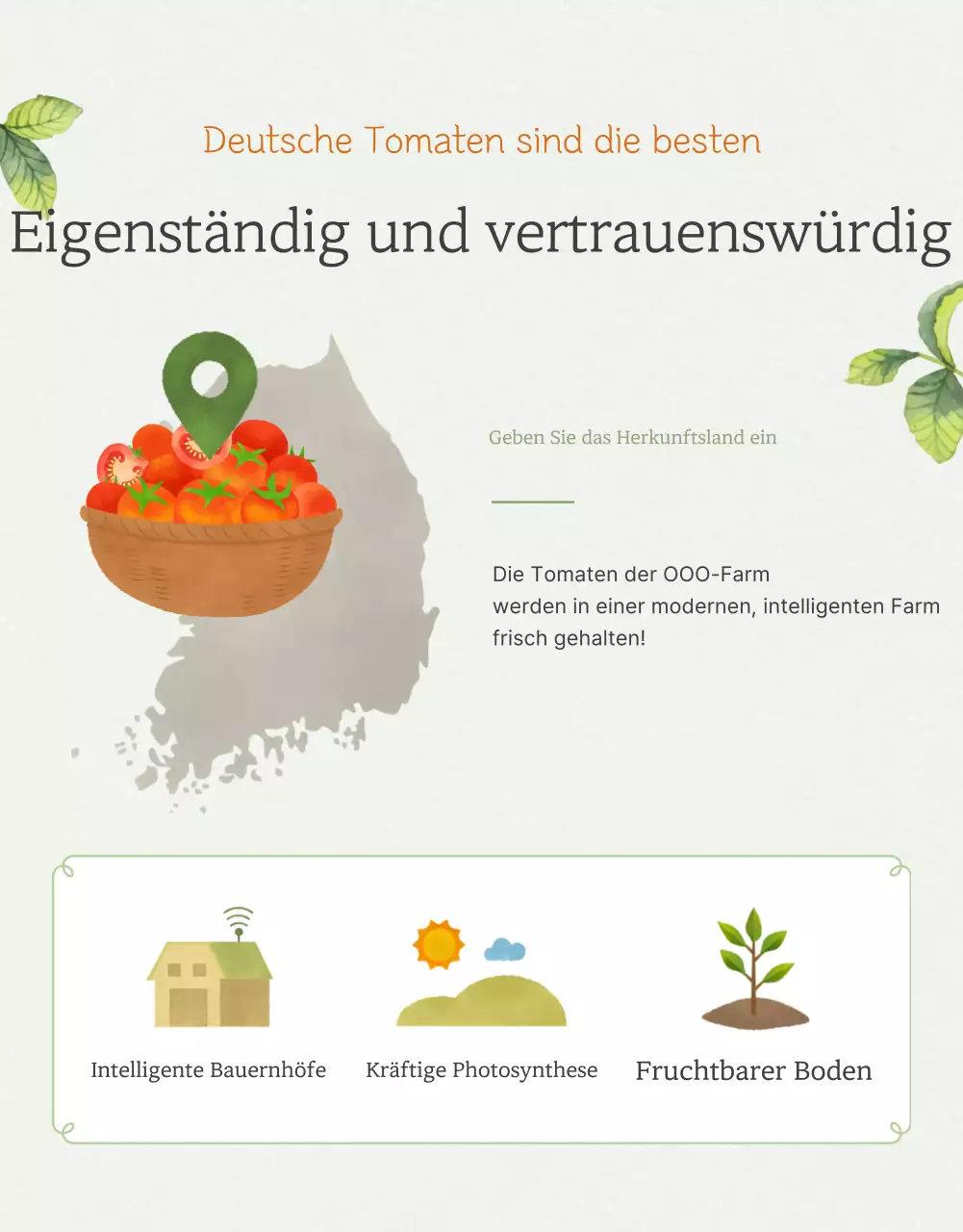 Förderung des Verkaufs von einfachen Kirschtomaten in Elfenbein und Lotus