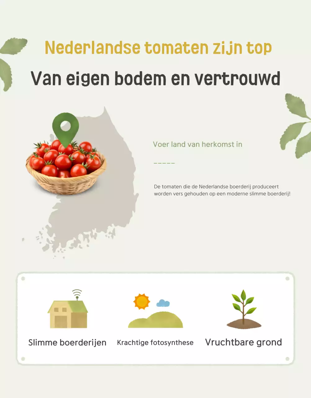 De verkoop van Ivory en Lotus prachtige kerstomaten promoten
