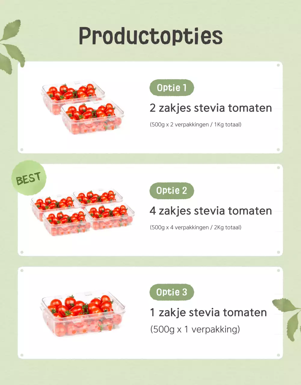 De verkoop van Ivory en Lotus prachtige kerstomaten promoten