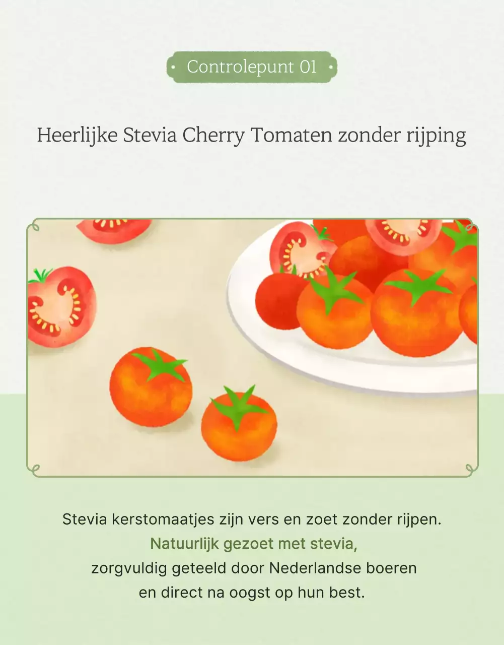 De verkoop van enkelvoudige kerstomaatjes in Ivoor en Lotus bevorderen