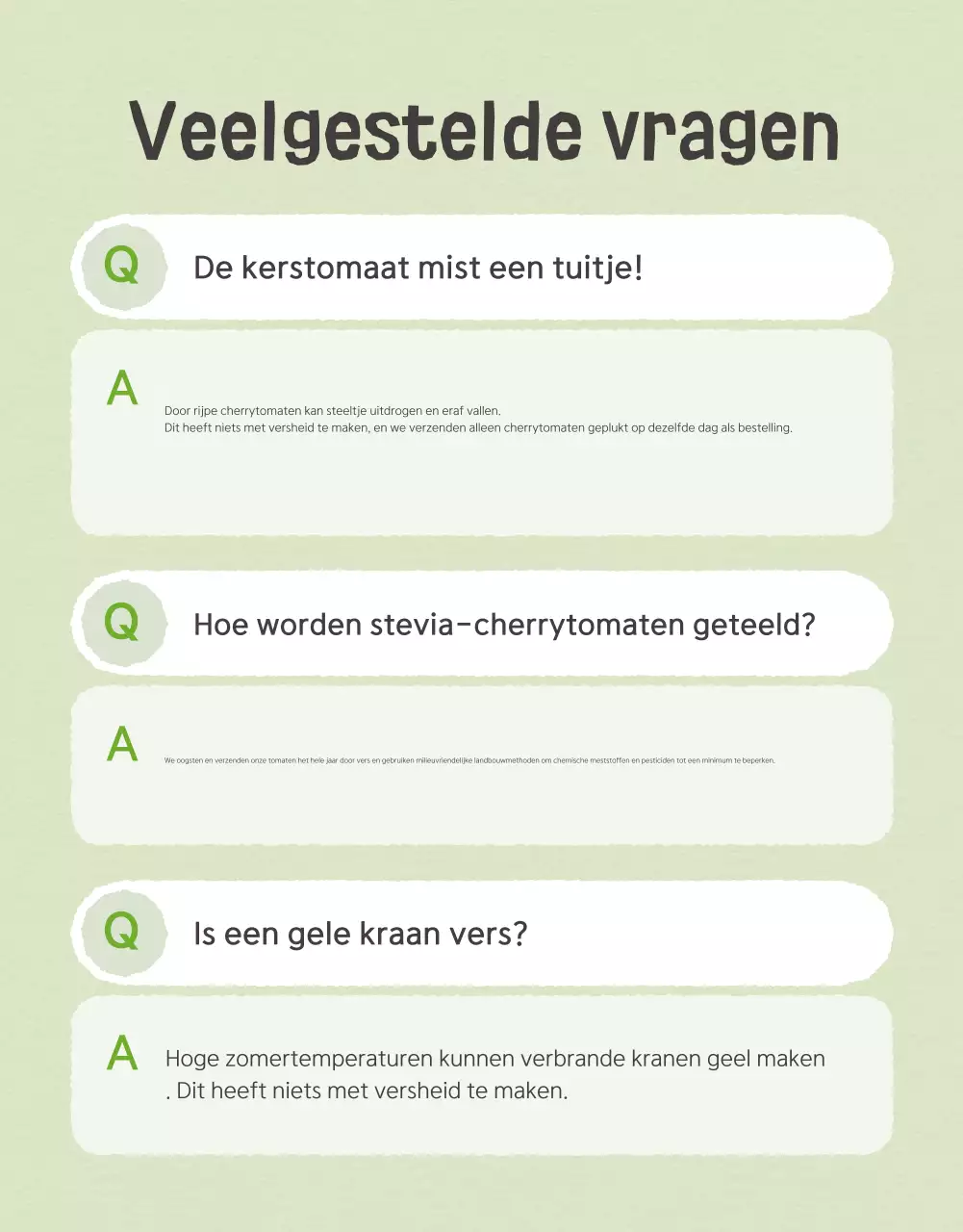 De verkoop van Ivory en Lotus prachtige kerstomaten promoten