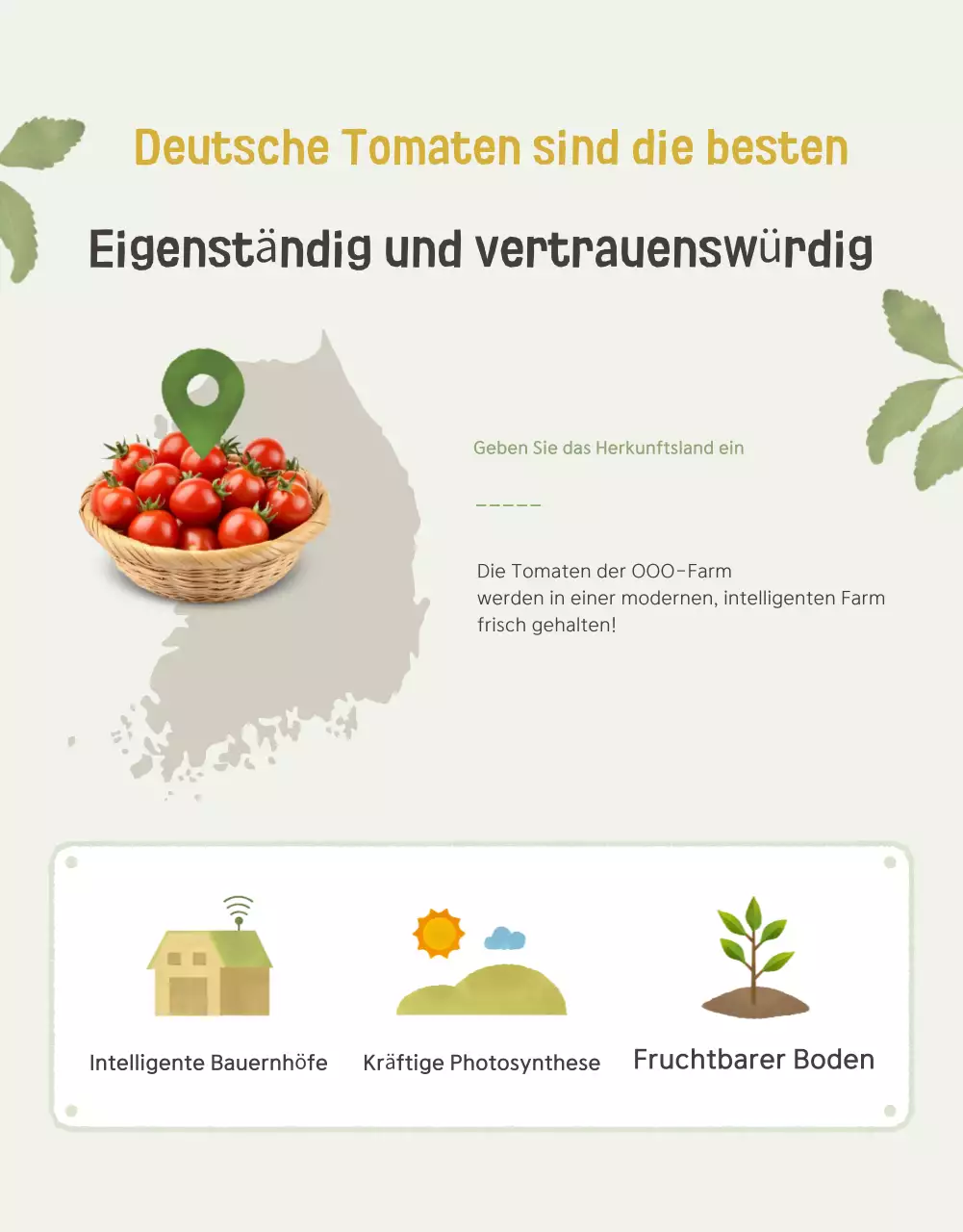 Förderung des Verkaufs der schönen Kirschtomaten Ivory und Lotus