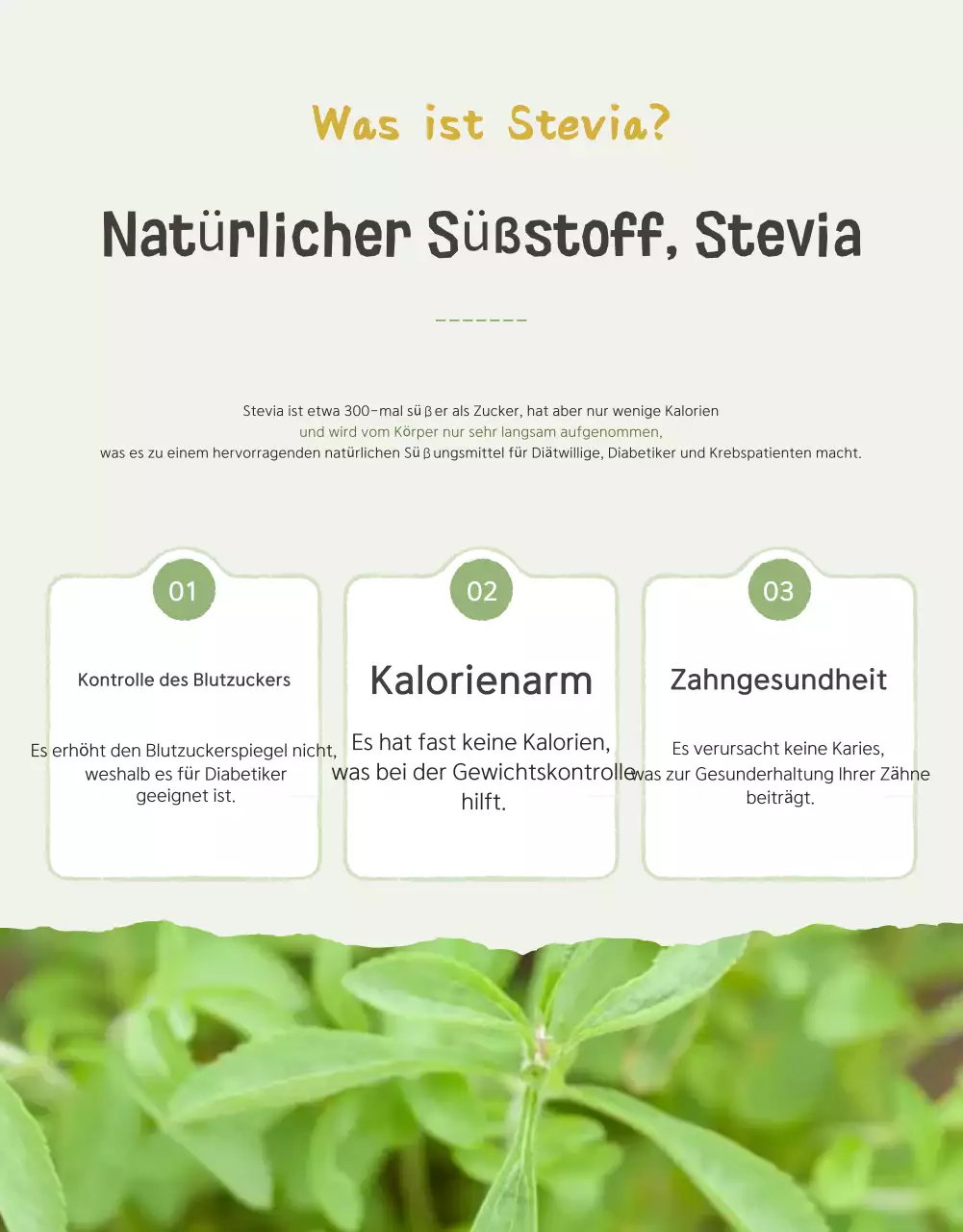 Förderung des Verkaufs der schönen Kirschtomaten Ivory und Lotus