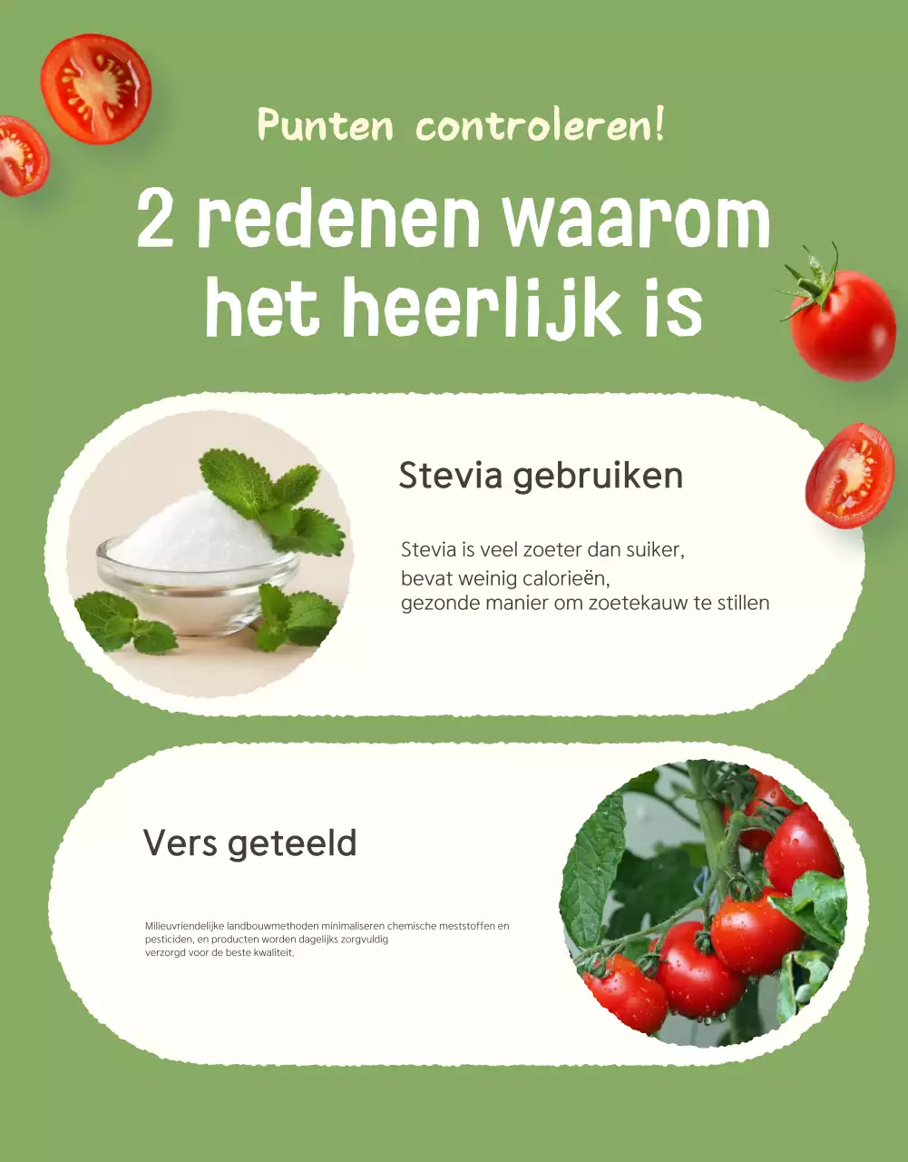 De verkoop van Ivory en Lotus prachtige kerstomaten promoten