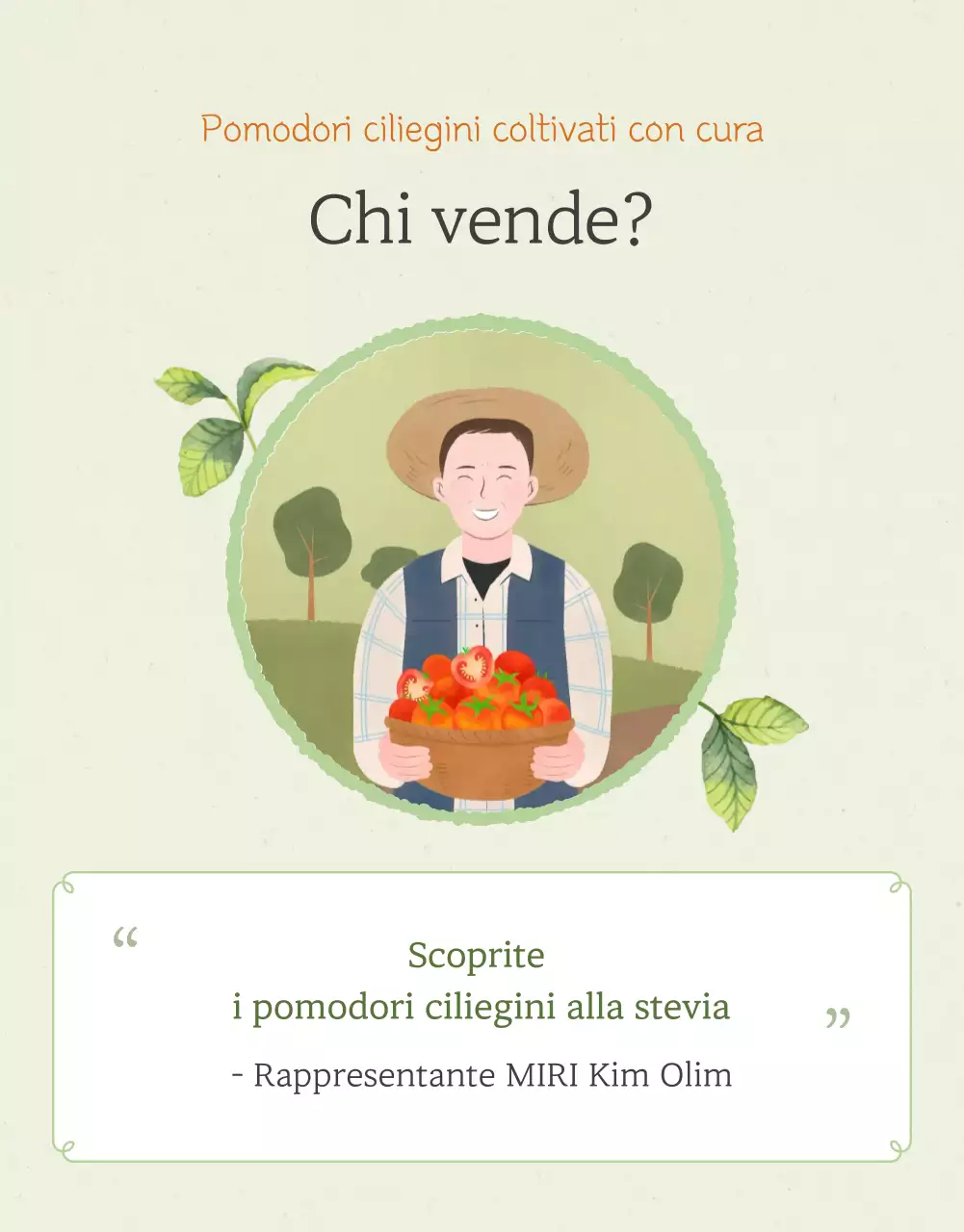 Promozione della vendita di pomodori ciliegini semplici in Ivory e Lotus