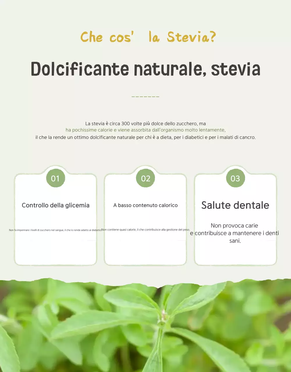 Promozione della vendita dei pomodori ciliegini Ivory e Lotus beautiful