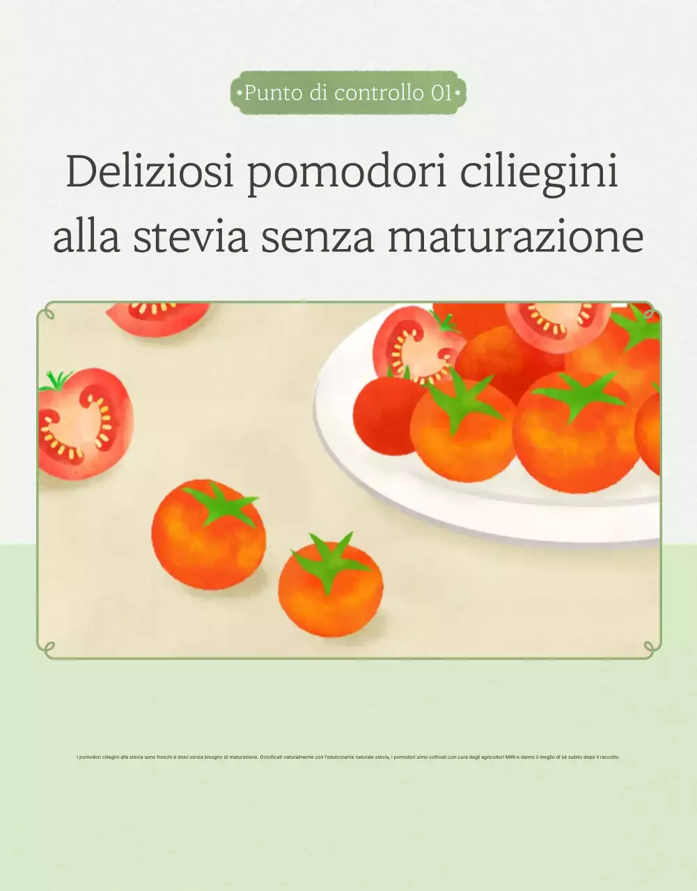 Promozione della vendita di pomodori ciliegini semplici in Ivory e Lotus