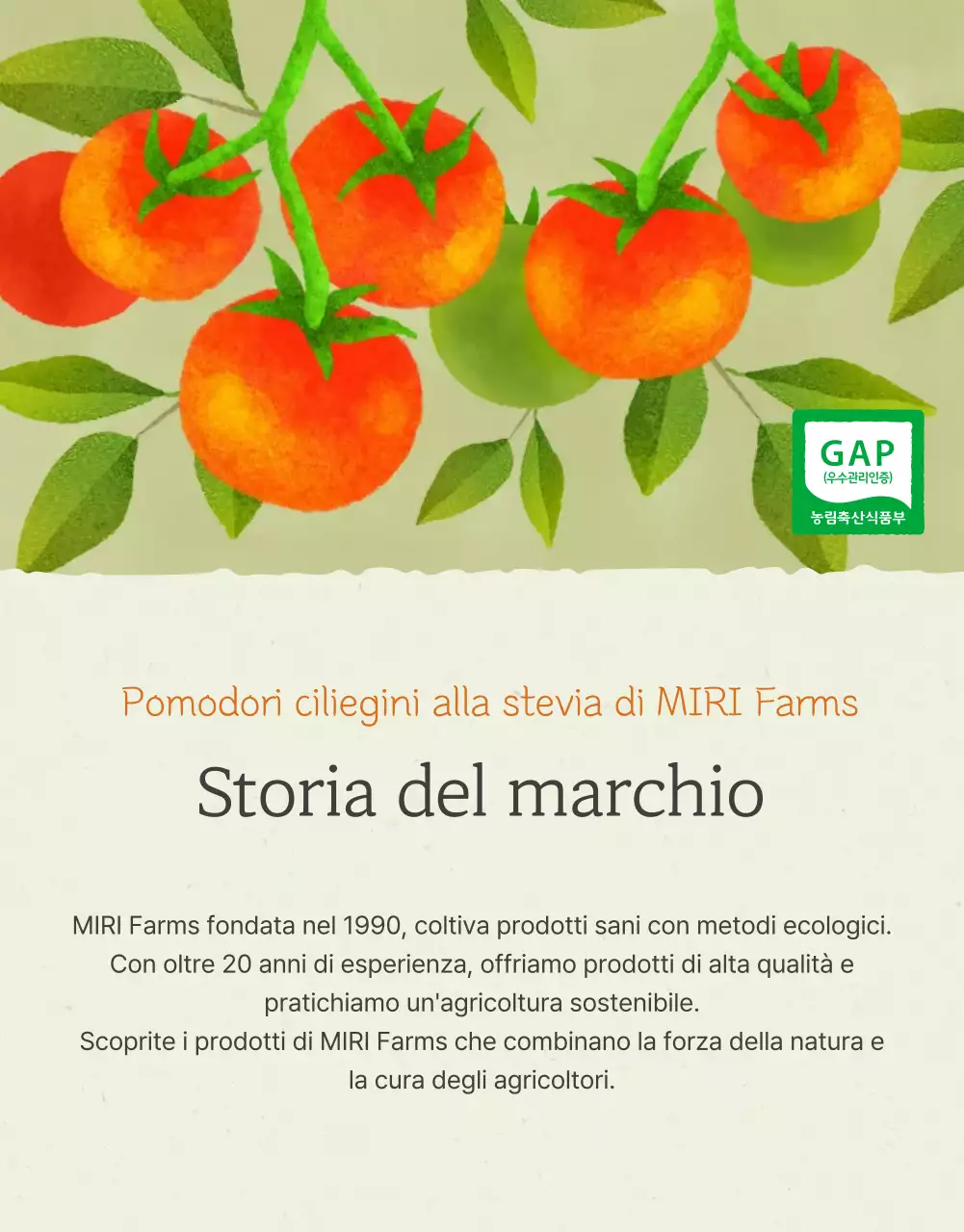 Promozione della vendita di pomodori ciliegini semplici in Ivory e Lotus