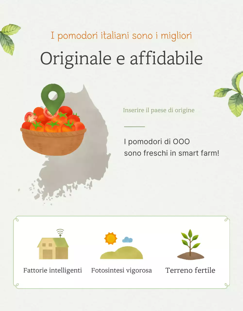 Promozione della vendita di pomodori ciliegini semplici in Ivory e Lotus