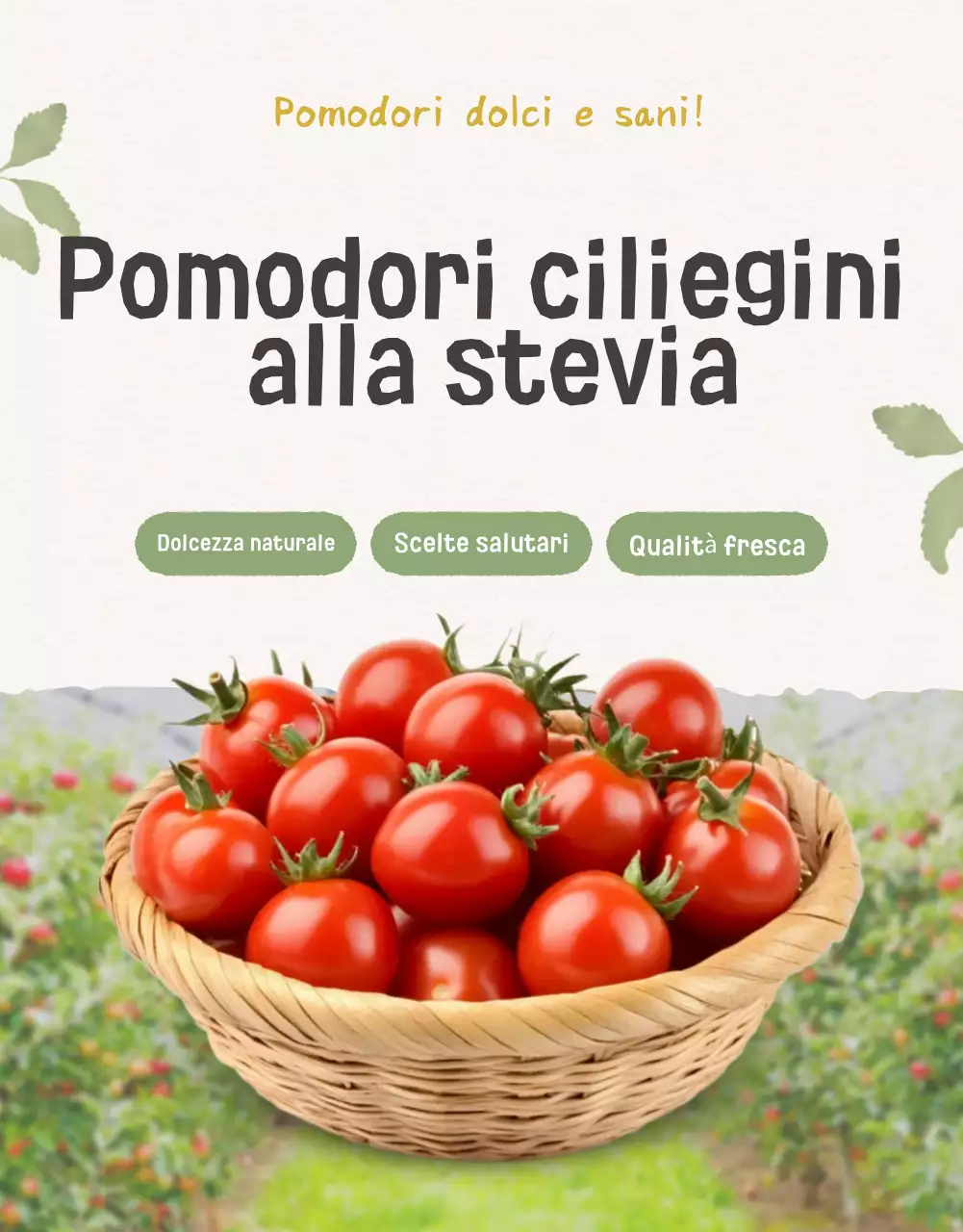 Promozione della vendita dei pomodori ciliegini Ivory e Lotus beautiful