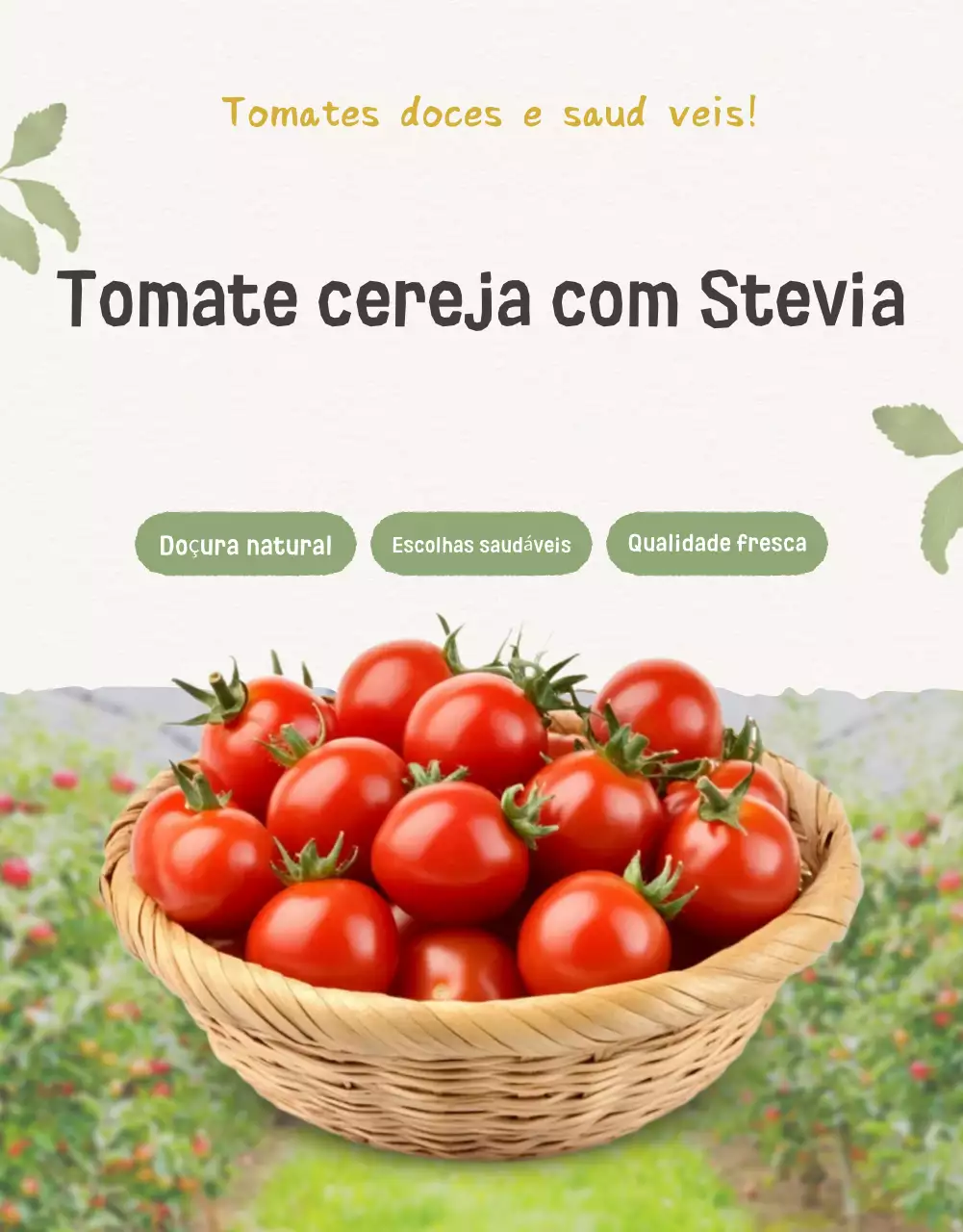 Promoção da venda de tomates-cereja Ivory e Lotus beautiful
