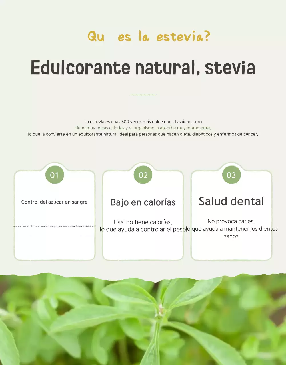 Promoción de la venta de tomates cherry de las variedades Ivory y Lotus beautiful