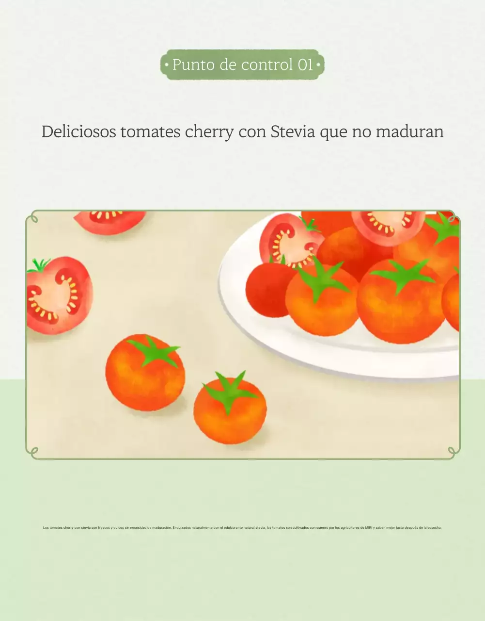 Promoción de la venta de tomates cherry simples en Ivory y Lotus