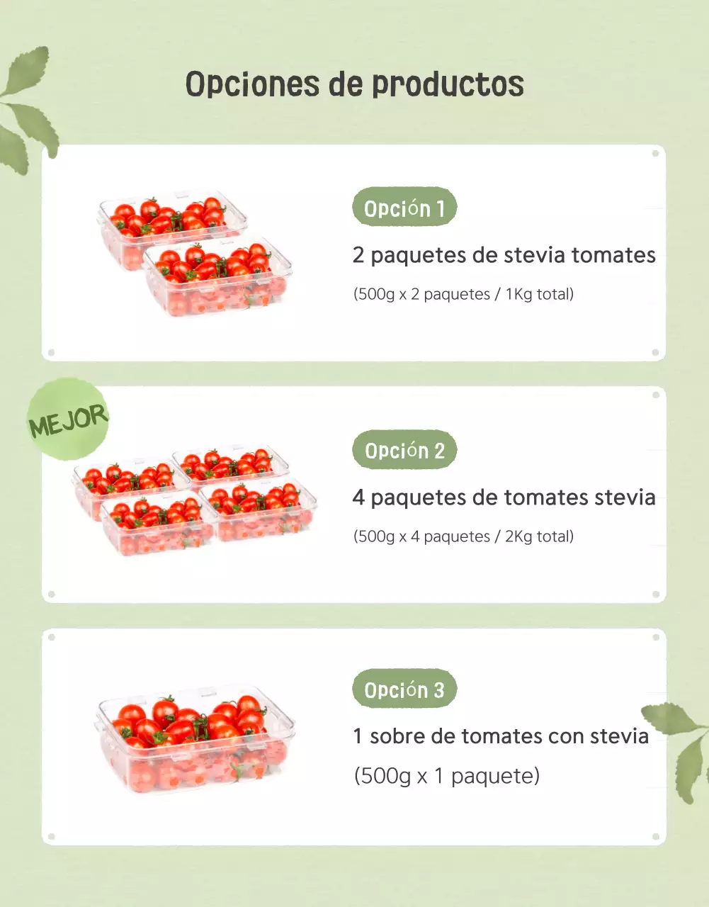 Promoción de la venta de tomates cherry de las variedades Ivory y Lotus beautiful