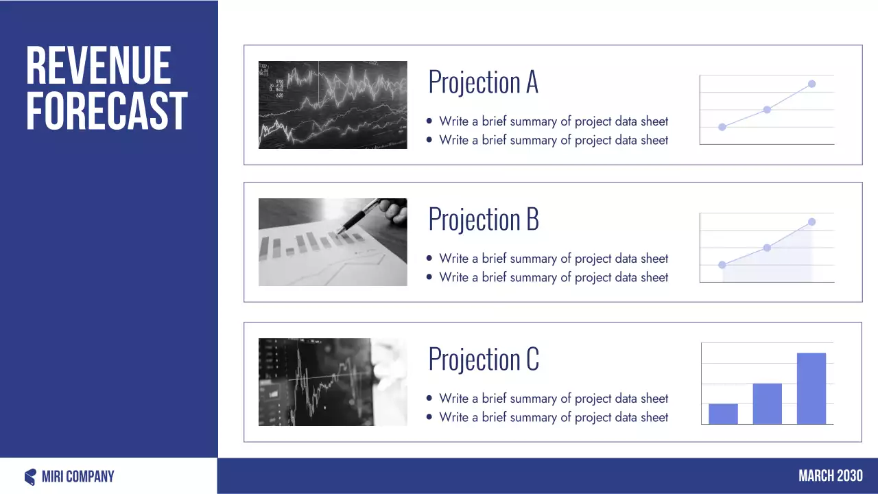 Blue Professional Budget Planner Presentation