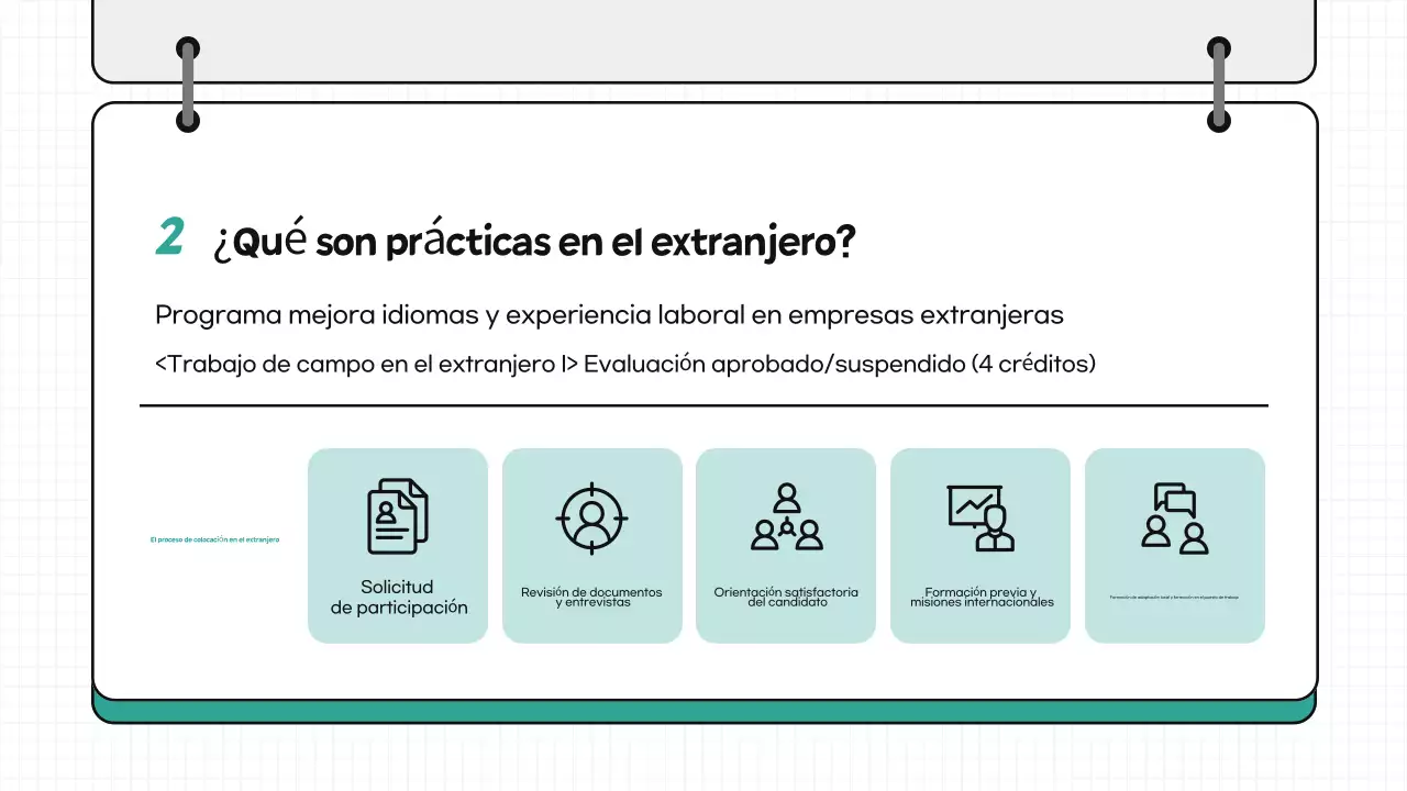 Mint Simple Programa global de contratación