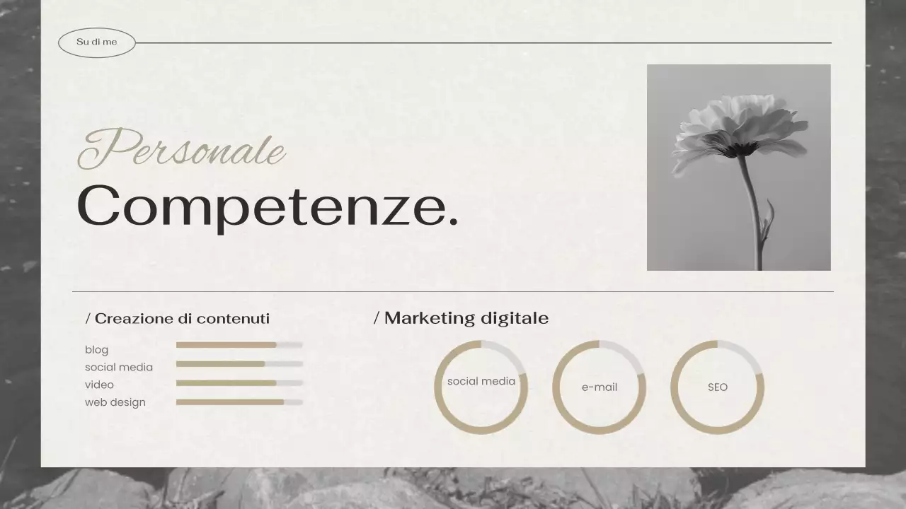 portfolio creativo nero portfolio