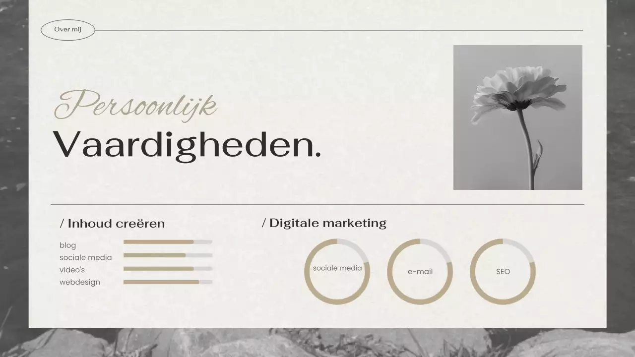 zwart creatief portfolio