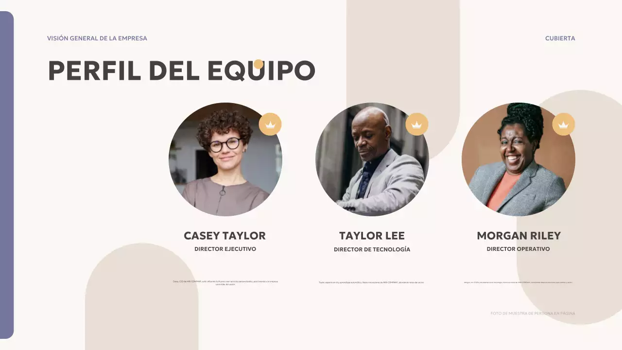 beige visión de conjunto moderna terreno de juego