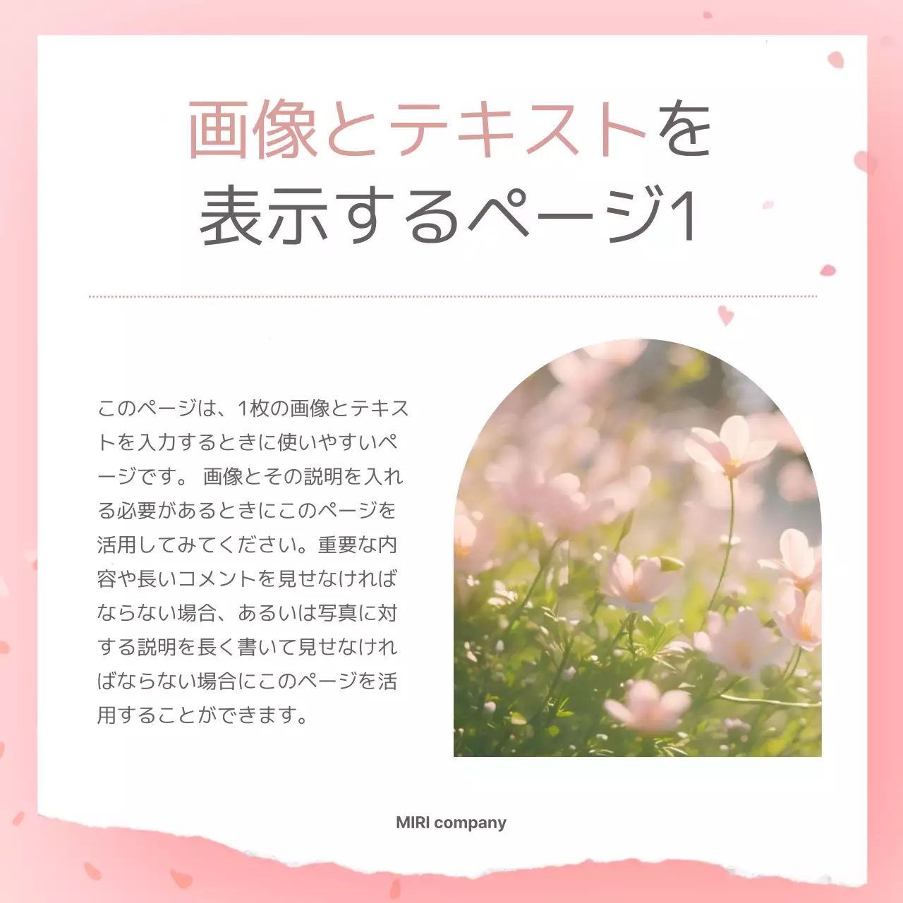 ピンク シンプル 春 お知らせ