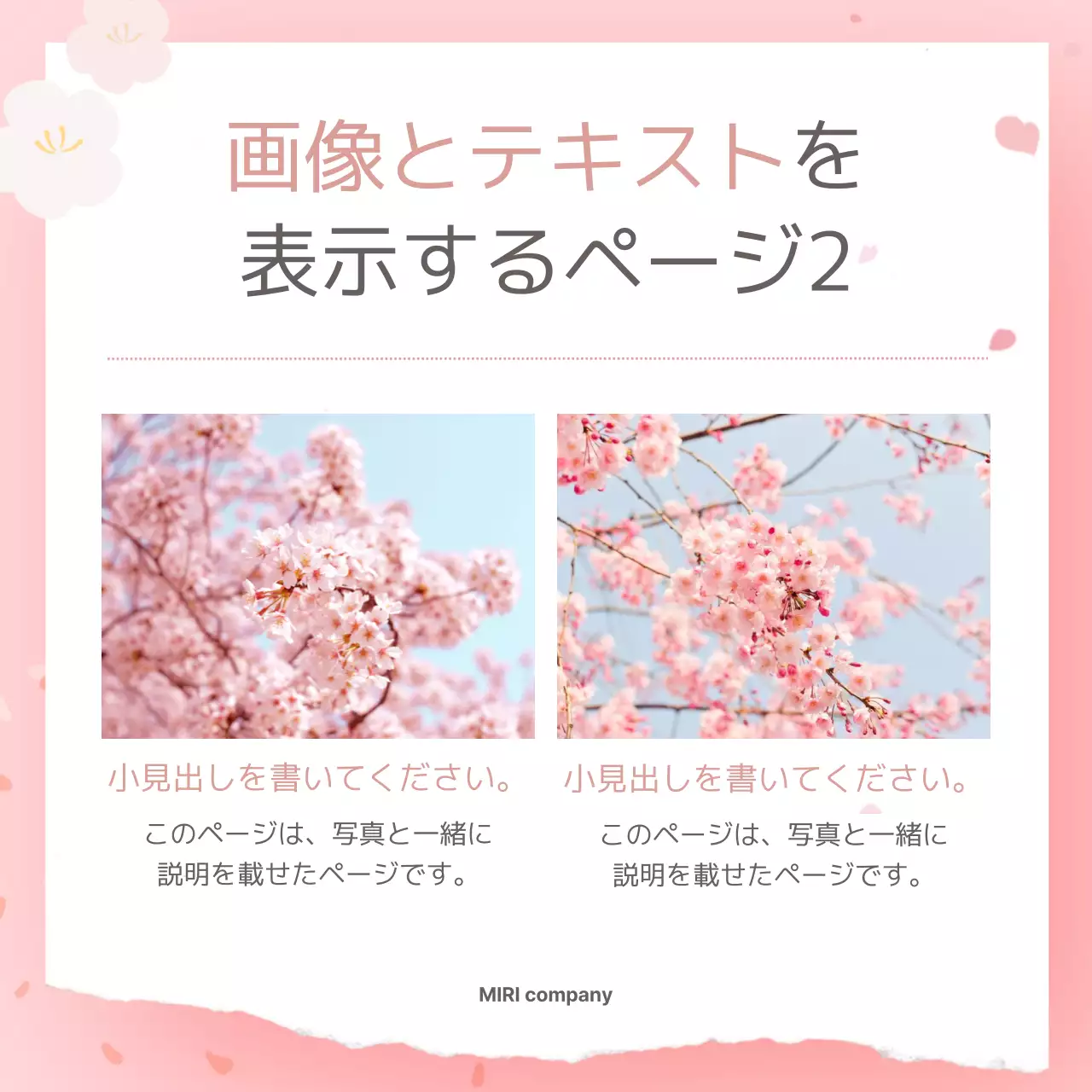 ピンク シンプル 春 お知らせ