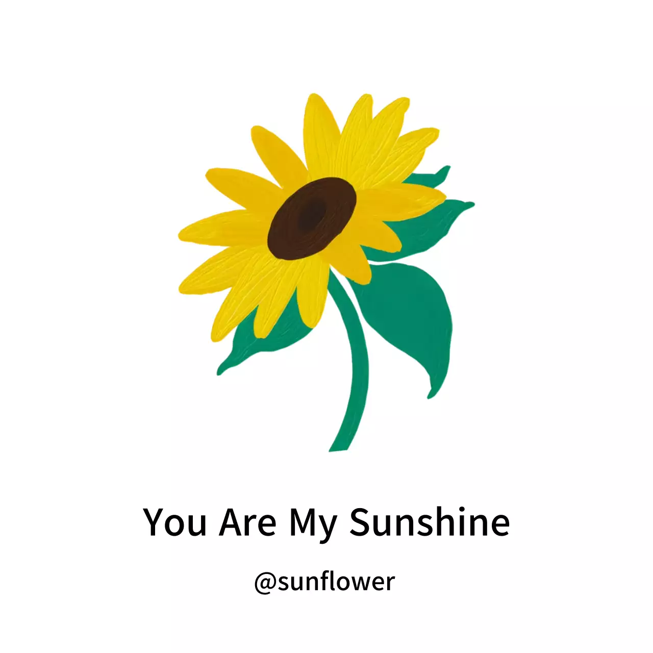 해바라기 sunflower
