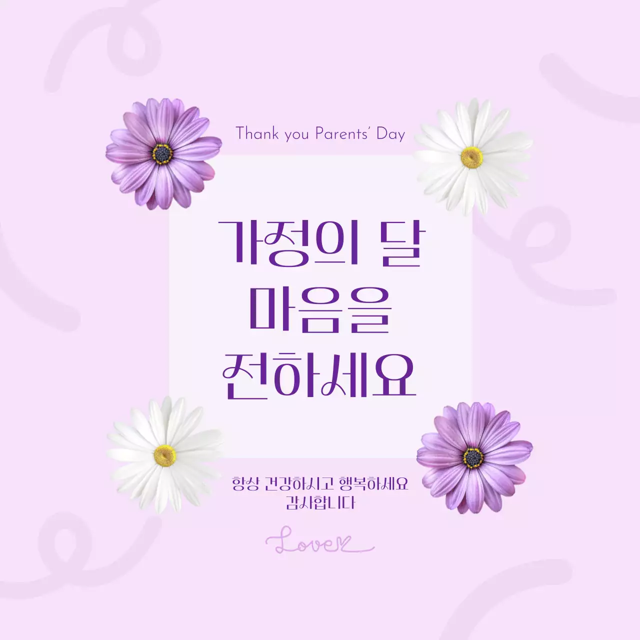 연보라 데이지 꽃 우아한 가정의 달 이벤트