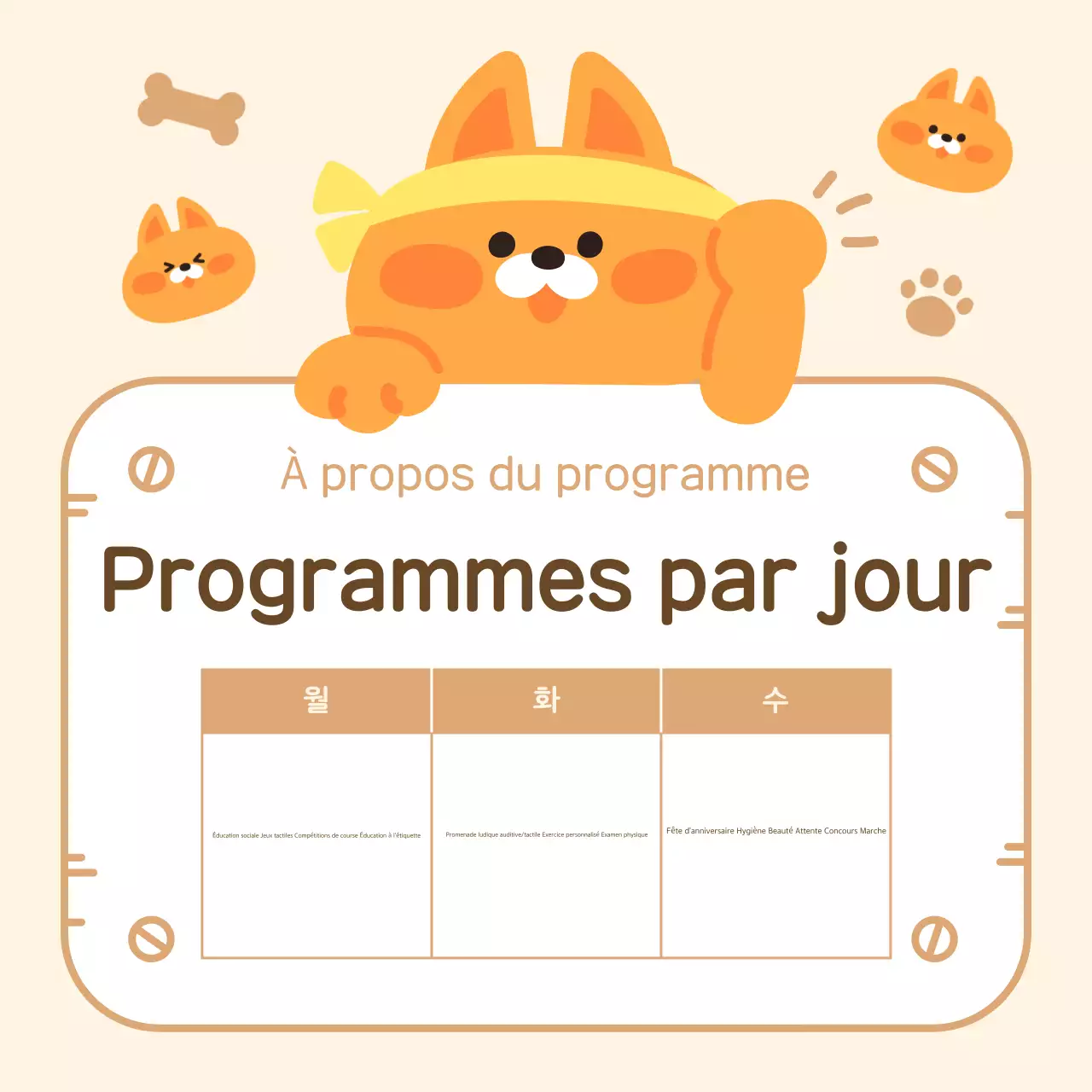 A propos du chiot câlin beige