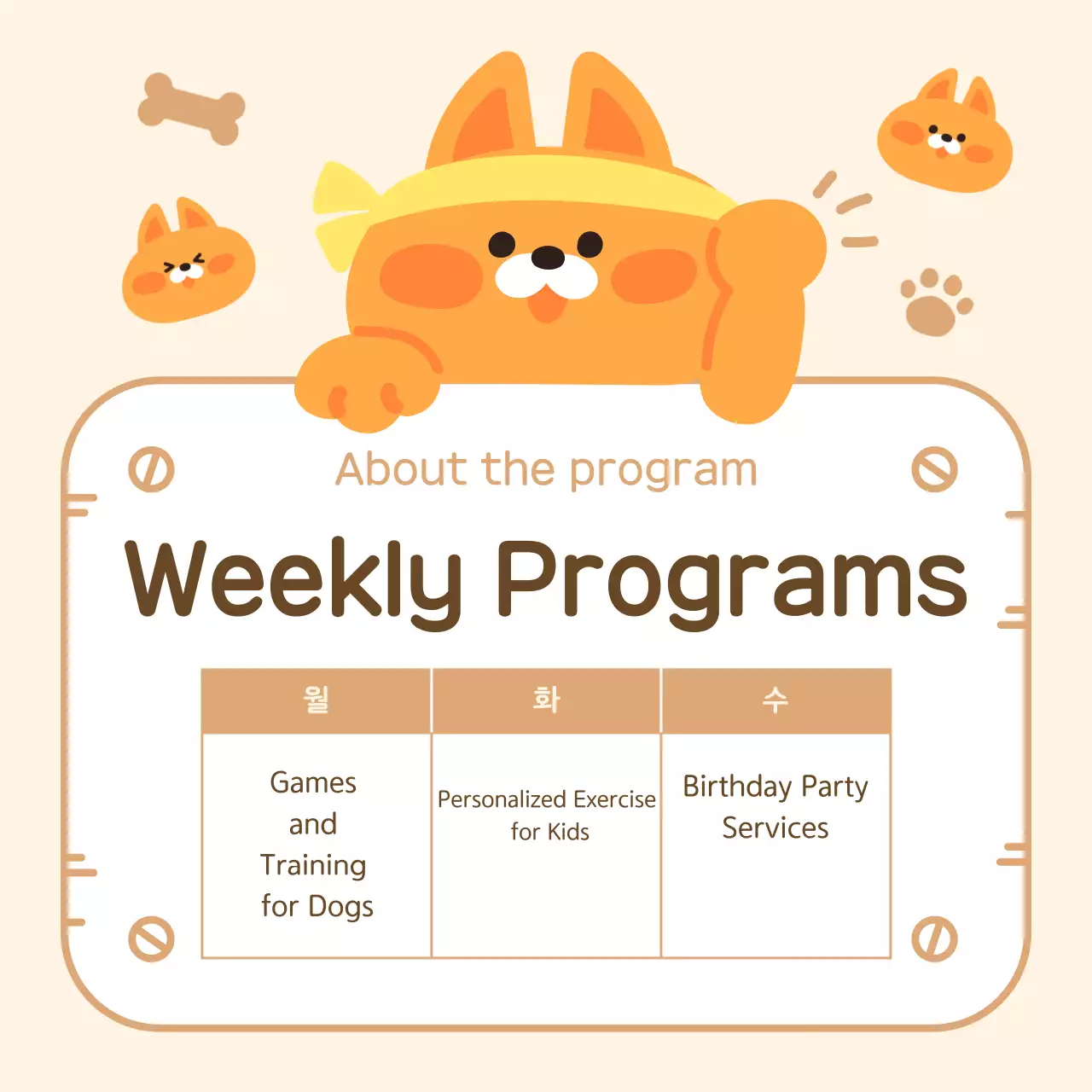 Sobre o cachorrinho de peluche bege