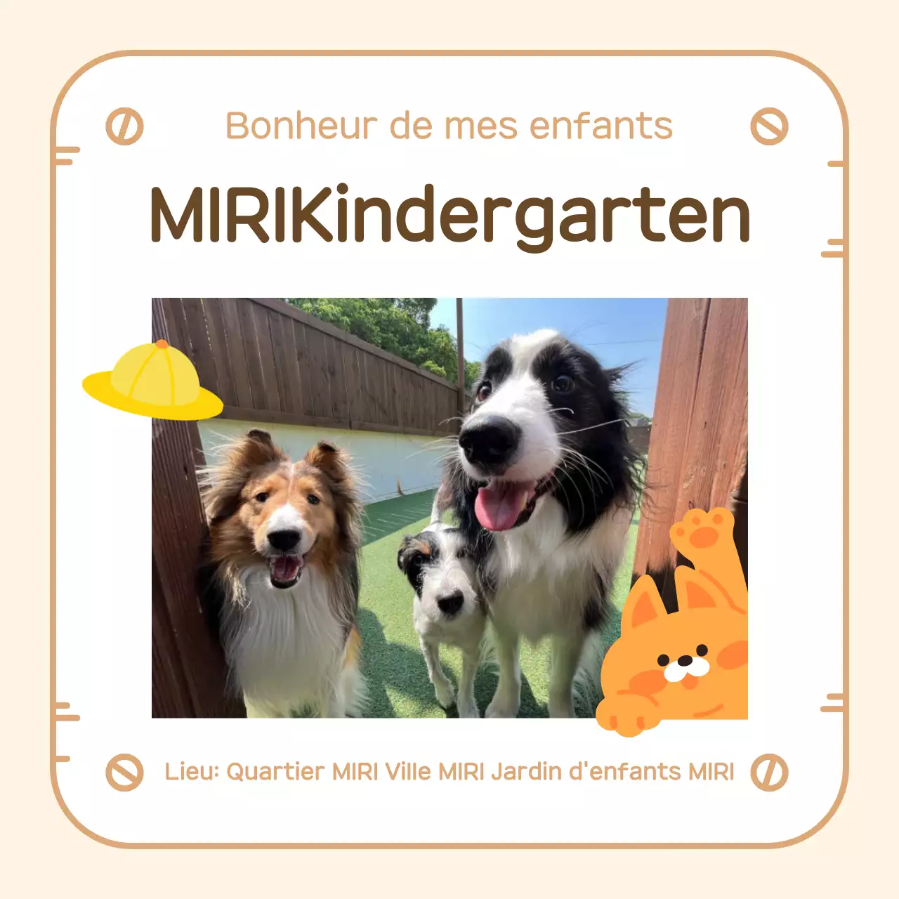 A propos du chiot câlin beige