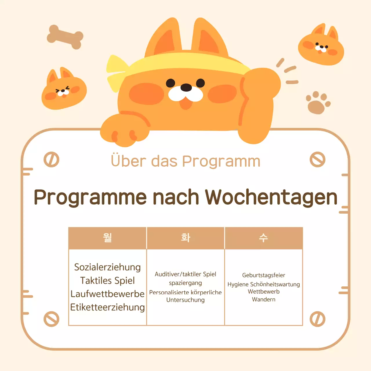 Über das beigefarbene Kuschelhündchen