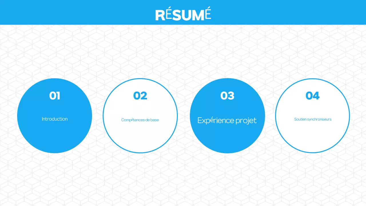 Présentation du portefeuille moderne bleu