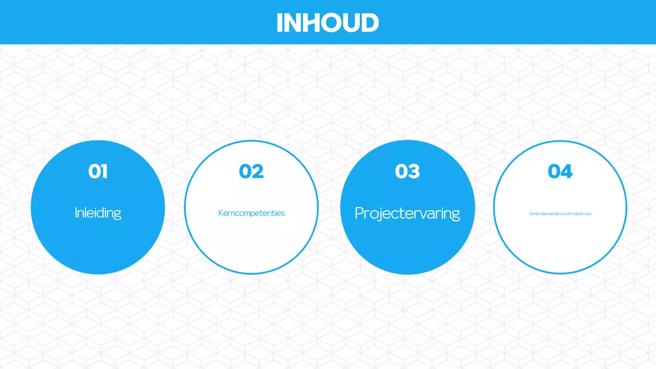 Maak kennis met de Blue Modern Portfolio