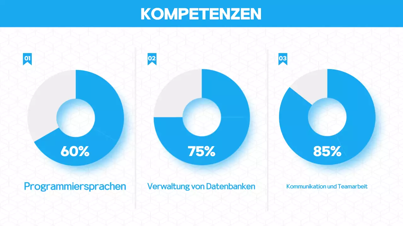 Einführung in das Blue Modern Portfolio