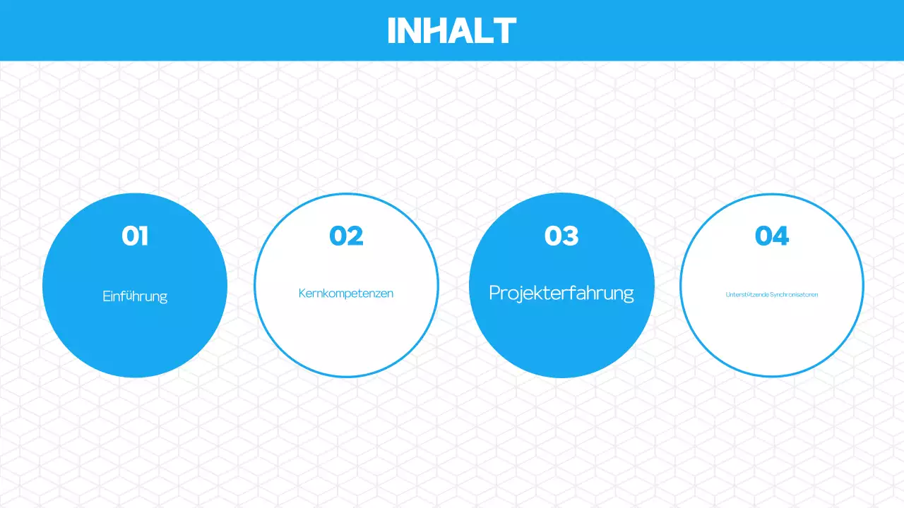 Einführung in das Blue Modern Portfolio