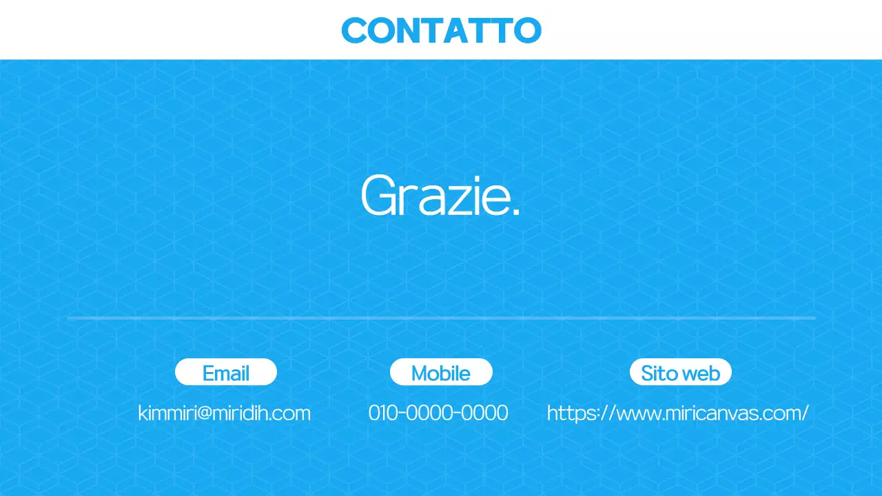 Presentazione del Portafoglio Blu Moderno