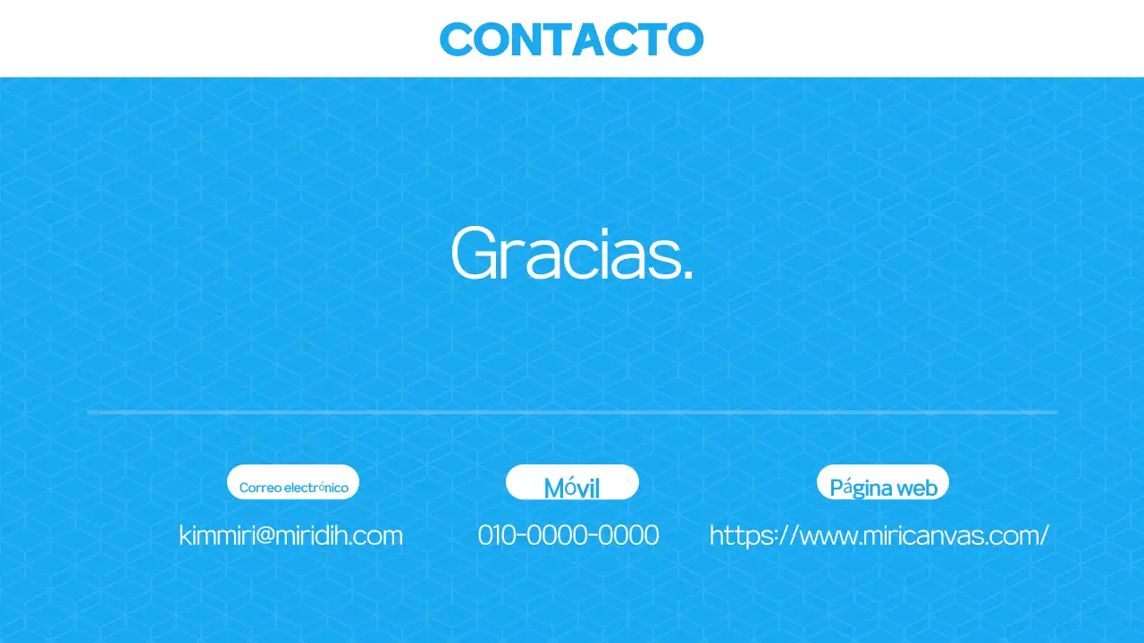 Presentación de la cartera Blue Modern