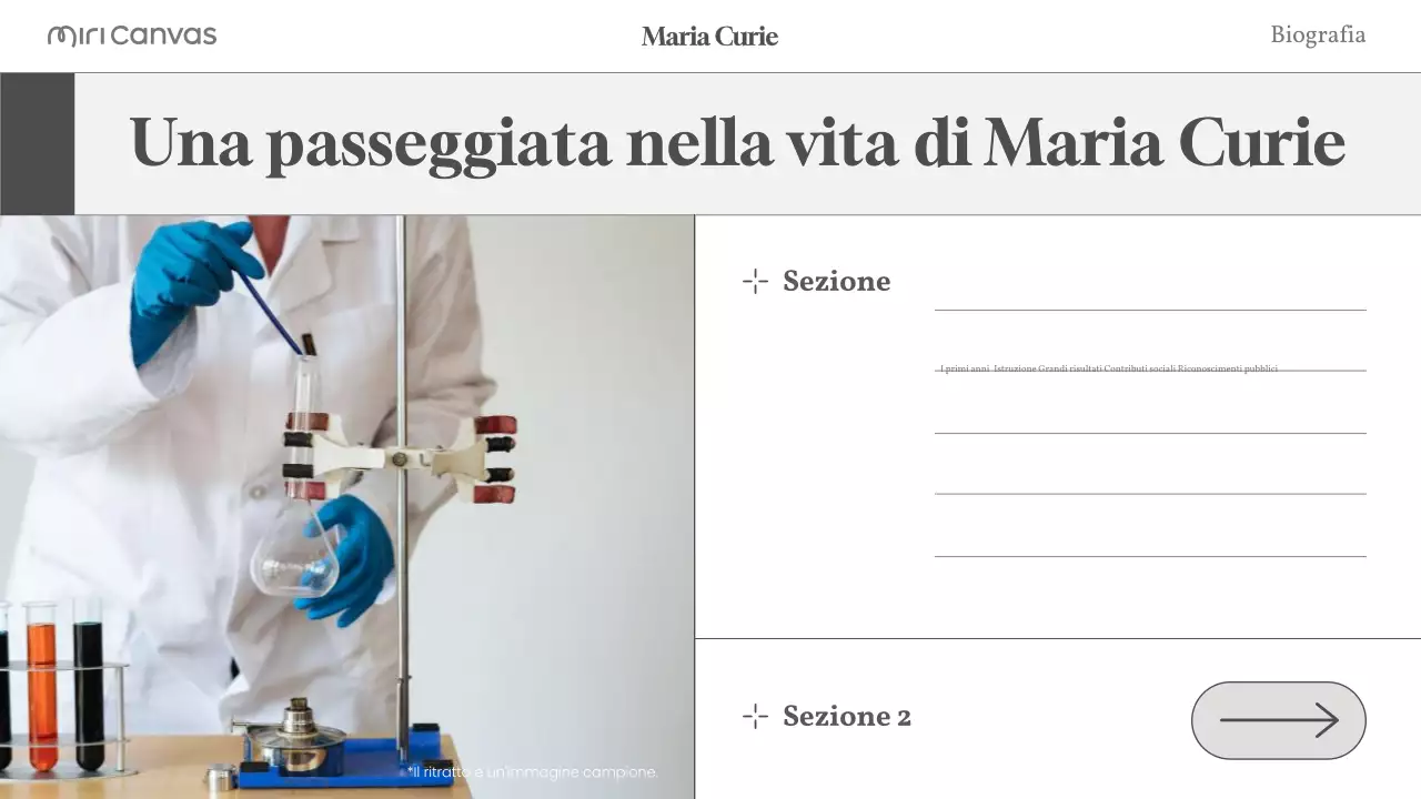 layout biografico moderno beige