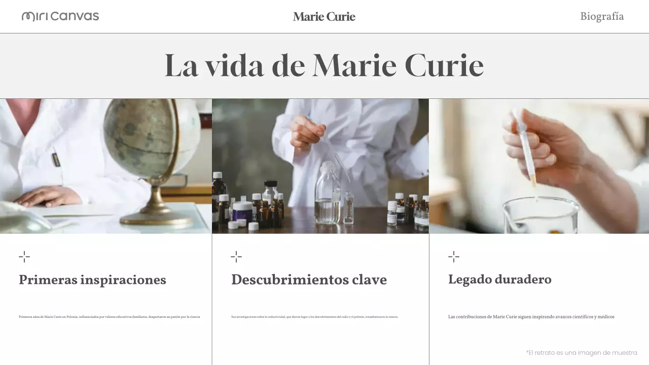 beige biografía moderna diseño