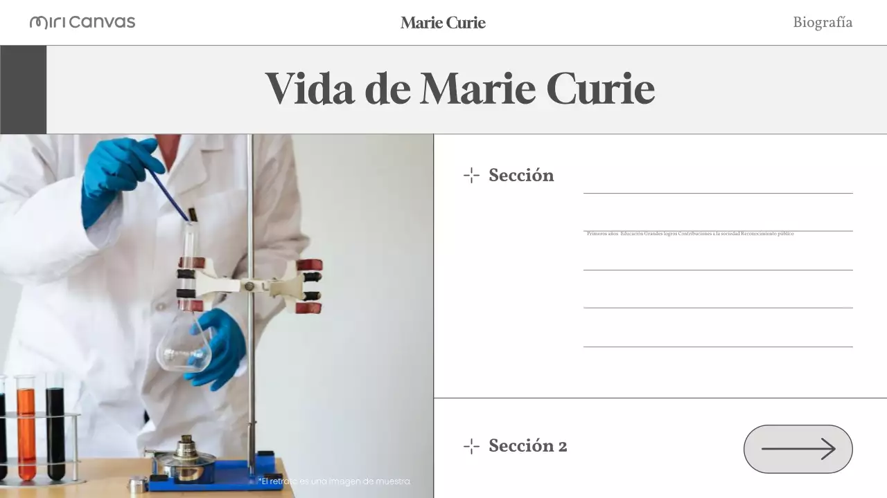 beige biografía moderna diseño