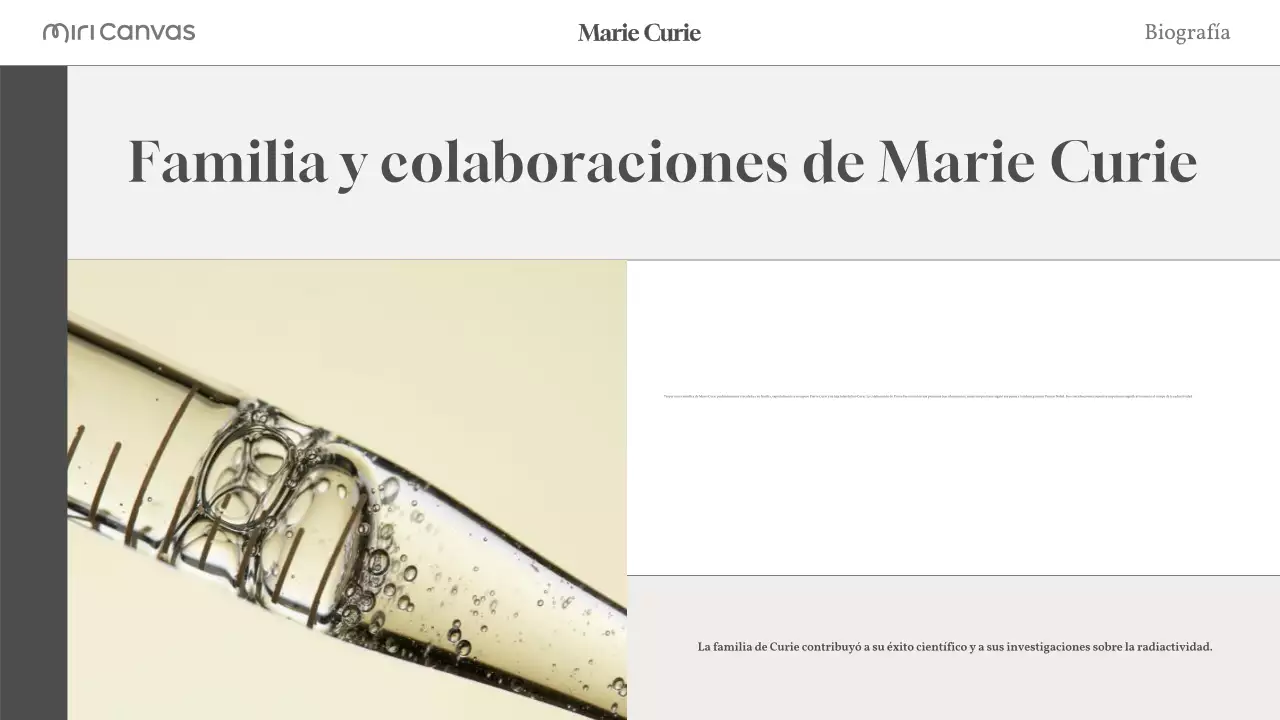 beige biografía moderna diseño