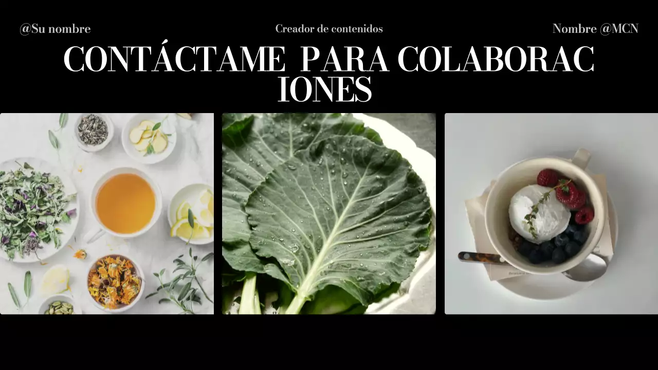 beige presentación moderna de la cartera de contenidos