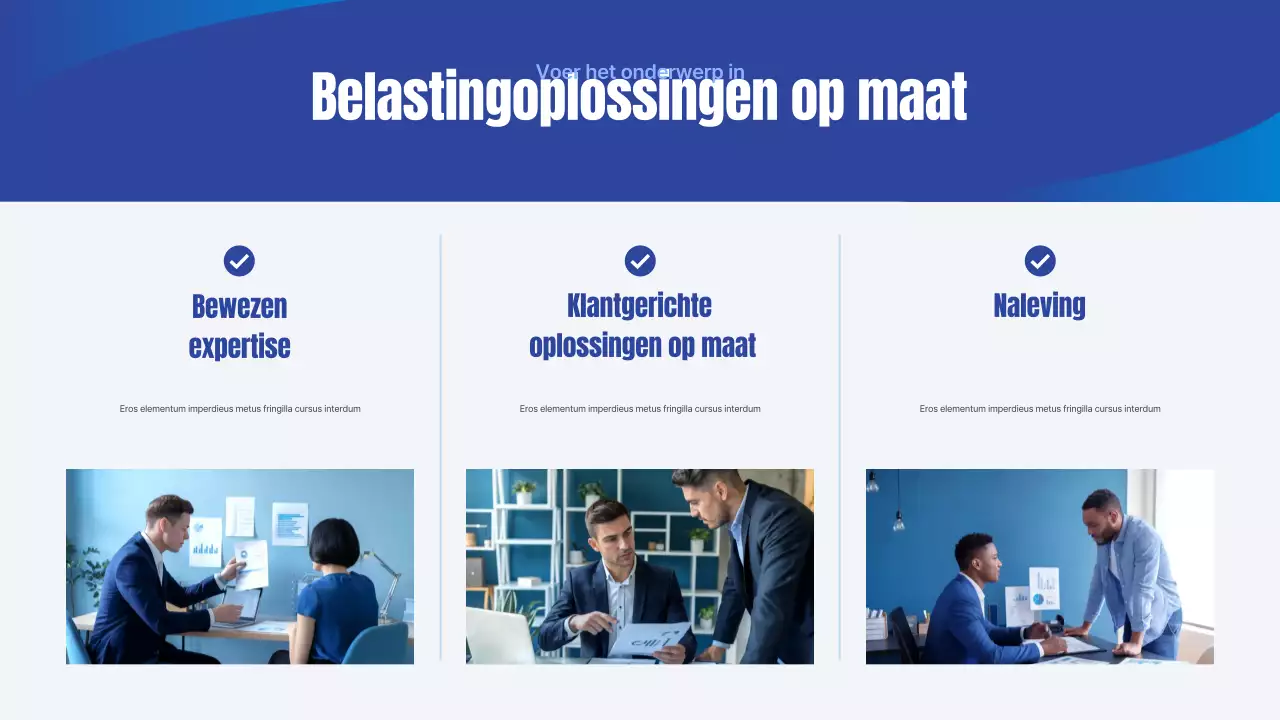 Blue Simple Tax Agency Bedrijfspresentatie