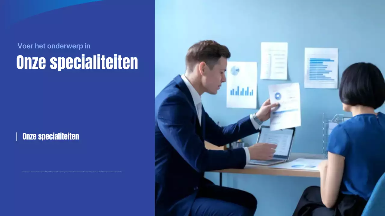 Blue Simple Tax Agency Bedrijfspresentatie