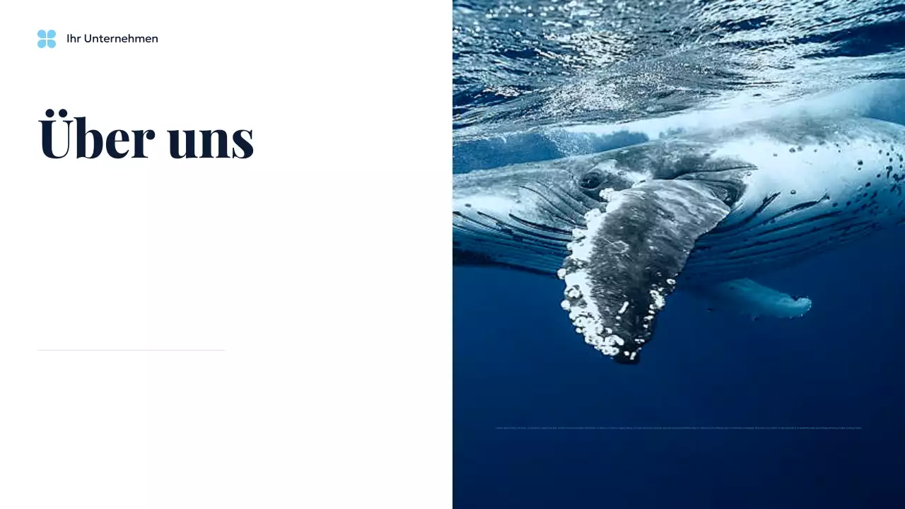 Blauer Ozean, nachhaltige Erde, Präsentation